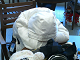 CIMG3424_thumb.png
