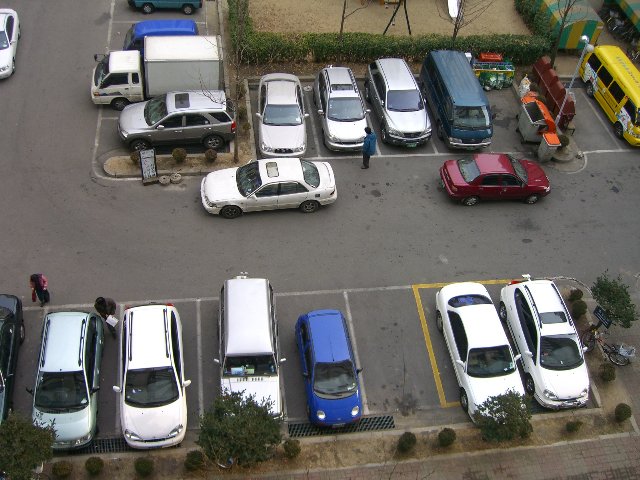 CIMG3456.jpg