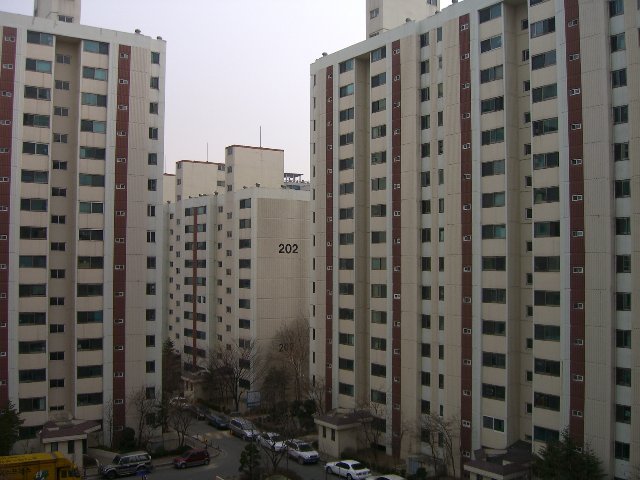 CIMG3458.jpg