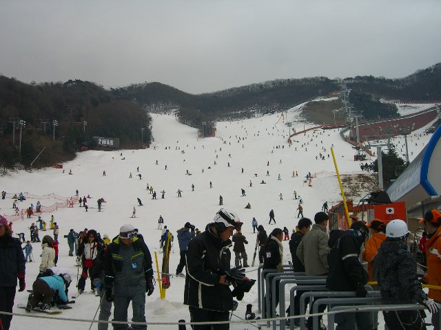 CIMG3483.jpg