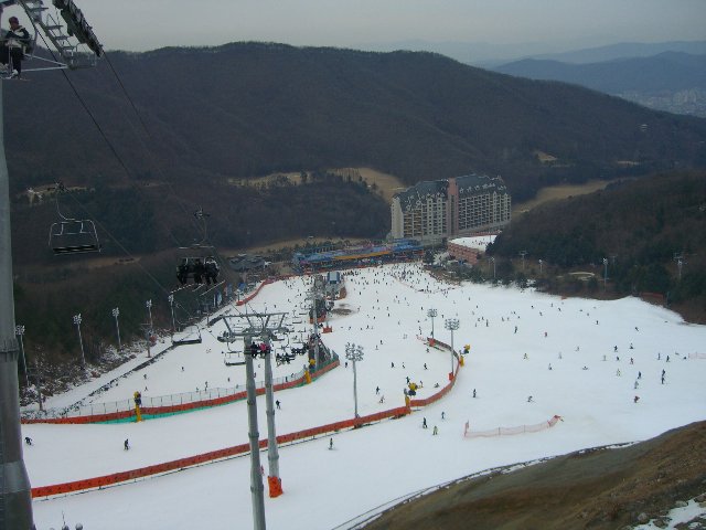 CIMG3502.jpg