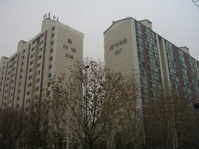 CIMG3566.jpg
